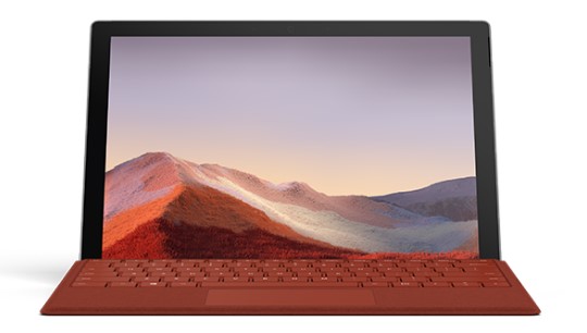 桃山清洁和维护 Surface